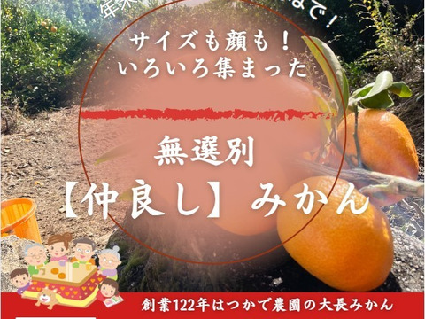 年末年始はコタツで【仲良しみかん】(無選別･家庭食用・10キロ)