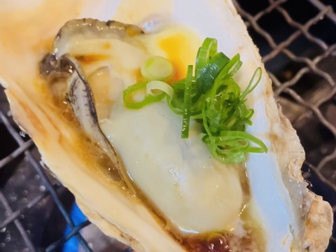大振りの身が詰まったThe Oyster！【三陸ジオイスター】20個入り