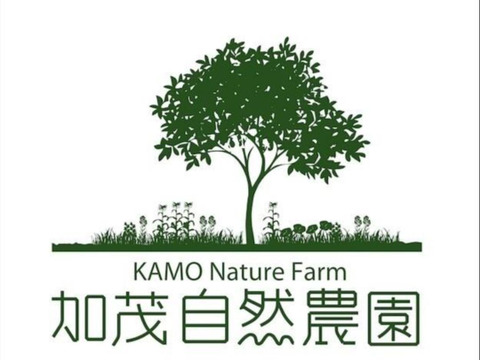 ササニシキ 2合 （300g）（2024） 自然栽培お茶農家が育てたお米　加茂自然栽培　農薬・肥料不使用