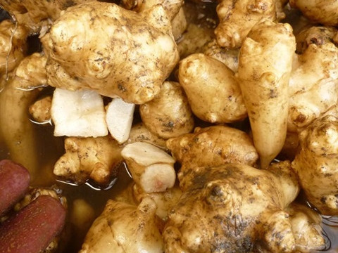 農薬不使用【菊芋粉末&菊芋茶】化学肥料不使用・パウダー微粉末とお茶