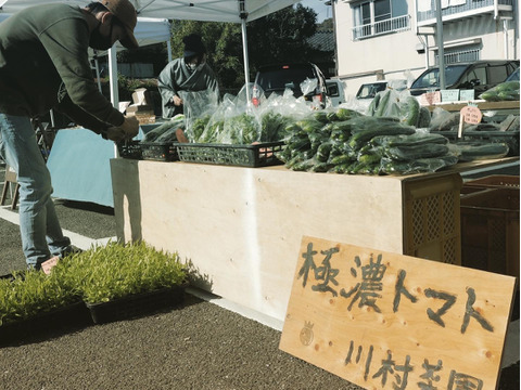 【完熟】樹上完熟！嘉穂トマト2kg