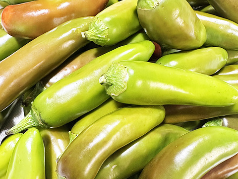 【訳あり】辛いけどウマい！ちょうどいい辛さの国産ハラペーニョ（総量200g）農薬・化学肥料不使用