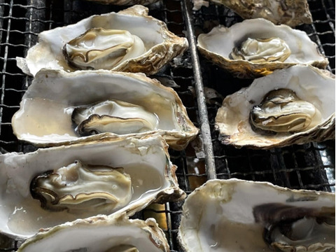 【生牡蠣】【生食用】三重県産 殻付き 浦村かき M～Lサイズ 10個入り（約1.1kg前後）（1～2人前）
 生牡蠣 バーベキュー カキ かき 貝類 海鮮 BBQ 歳暮 熨斗母の日父の日