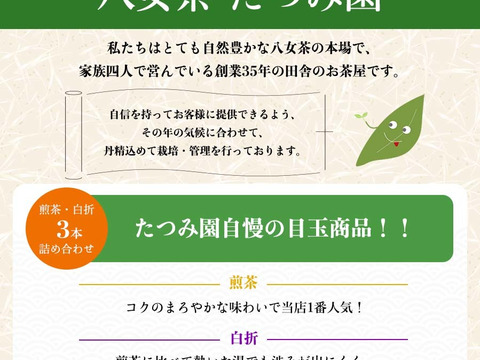 ご予約承り中【母の日ギフト】八女茶100g3本セット☺︎※日にち指定可能