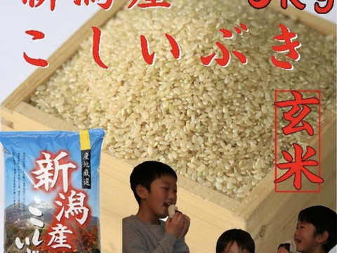 新米　新潟県産　こしいぶき  玄米  5キロ  令和5年産　(72)