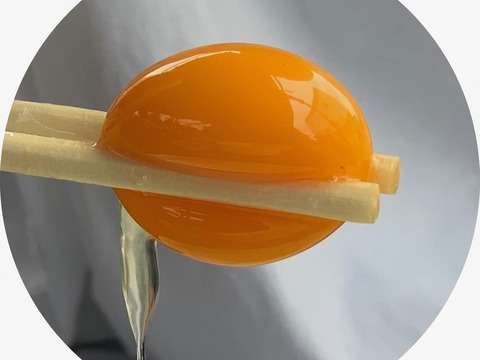 本気の自然養鶏！【養生卵・プレミアム烏骨鶏】１２個（６個×２パック）