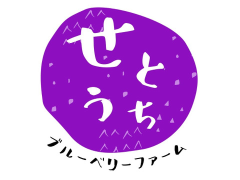 加工用【冷凍ブルーベリー】　500×2パック　1kg