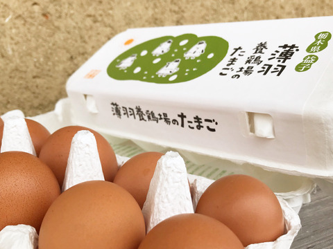 【父の日ギフト】たまごセット