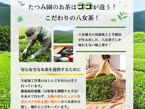 【新茶】2024年予約【1袋】たつみ園家庭用おすすめ♡煎茶陽芽100ｇ