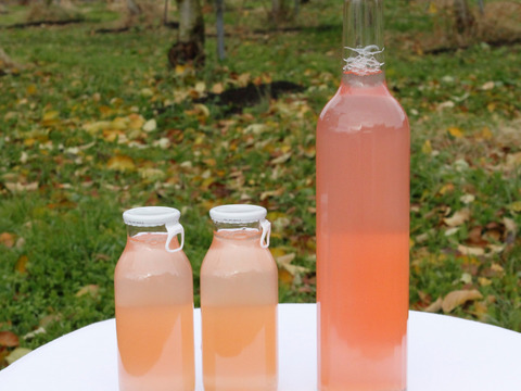 酸っぱい ピンクのりんごジュース 紅の夢 500ml 2本セット 岩手県産 食べチョク 農家 漁師の産直ネット通販 旬の食材を生産者直送 酸っぱい ピンクのりんごジュース 紅の夢 500ml 2本セット 岩手県産 食べチョク 農家 漁師の産直ネット通販 旬の食材を生産者直送