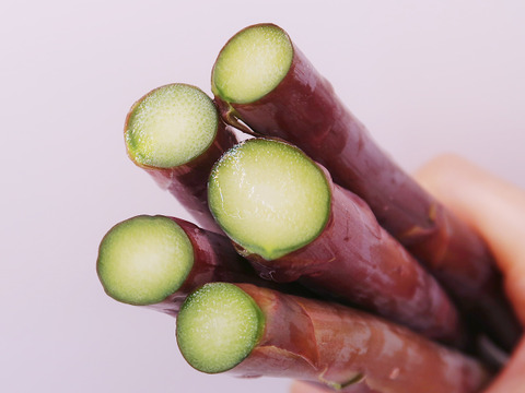 【希少】富良野産　ラベンダーアスパラ（L・2Lサイズ 800g）