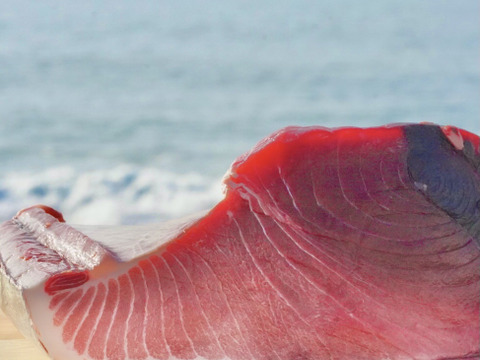 杉さん専用　本鮪赤中大　イカセット