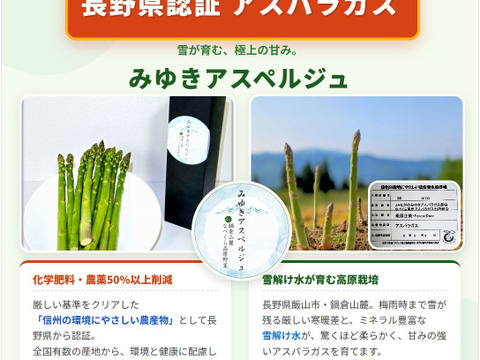 【朝採れ】【高原栽培】長野グリーンアスパラガス「みゆきアスペルジュ」【訳あり品】サイズ混合M～２Lサイズ　1kg(1箱)