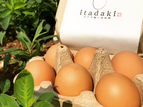 放牧卵(12個) ／最高峰たまご／itadaki【時価】 「飛び回る環境で育つ放牧鶏」