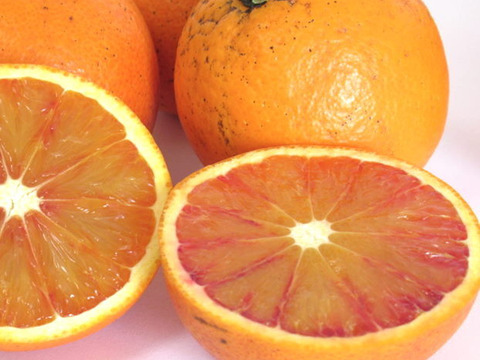 【広島県産】ブラッドオレンジ C品(2㎏) タロッコ