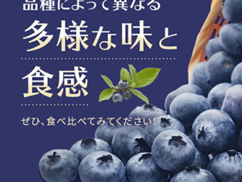 完熟手摘み選別したフレッシュブルーベリー１Kg ：ラビットアイ系（250gの4パック）：数粒まとめて頬張り、完熟ならではの、口の中で弾ける『果汁のシャワー』をぜひご体験ください！