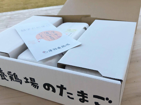 【冬ギフト】冬の詰め合わせたまごギフト