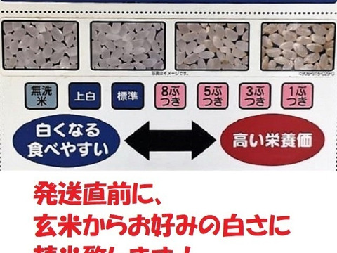 【年末セール】【令和7年新米】自然栽培「ミズホチカラ」精米　１０ｋｇ【冬ギフト】