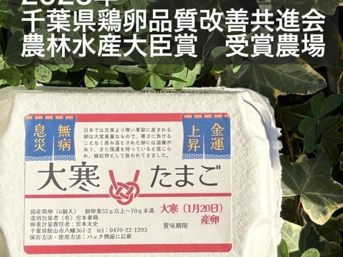 大寒たまご(白)×36個✨‼️年に1度の縁起物‼️✨