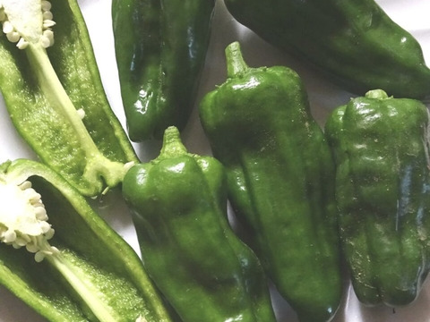 肉厚ぷりぷりピーマン10個入り