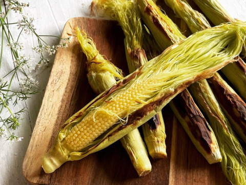 ヤングコーンであなたの人生変わったらゴメンナサイ（60サイズ）