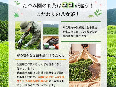 ✨新茶✨たつみ園の八女茶3本セット【夏ギフト】