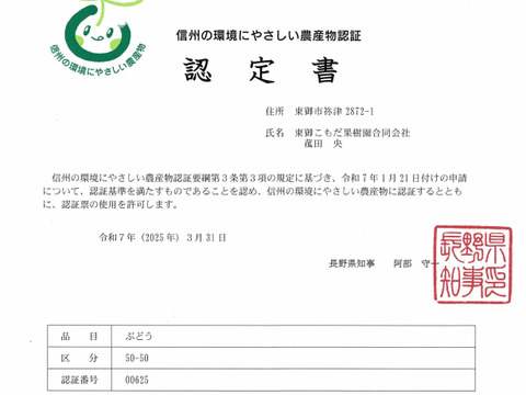 大粒なのにこんなに甘い★クイーンニーナ2㎏（3～8房）※長野県認証/農薬節減栽培（信州の環境にやさしい農産物認証）