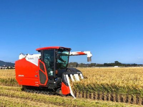 【福袋】🎍売れ切れ御免‼️限定100セット🎯令和7年新潟県五泉市四ケ村産 ✨️三種の神米食べ比べセット🌾🎯コシヒカリ、新之助、いのちの壱。各2kg入  ×3  🍚6kg白米 福袋限定商品✨️