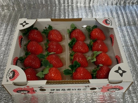 二箱 『プレミアムモカベリー 』 苺 いちご イチゴ 贈答品 ※時間指定は可能です。