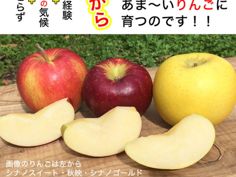 【業務用・飲食店様歓迎】【時短にピッタリ】フルプロ農園のりんご100％無添加ピューレ 2kg【500g×4袋】砂糖不使用！#NKP00020