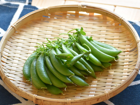 和らぎ農法　豆まめ　おやつ便（スナップエンドウ約700g）