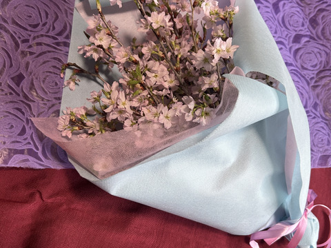 【桜の花束】あと少し！ボリュームたっぷりな桜をご自宅に飾ってみませんか？