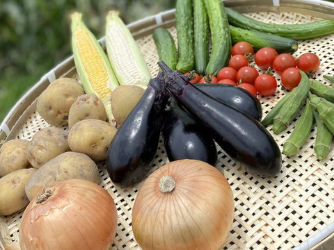 【日本一若手農家がお届け】旬の野菜８種類セット
