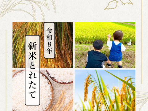 コシヒカリ五分づき9キロ New【令和8年新米】鳥取県 つむぎfarmのコシヒカリ 五分づき（玄米