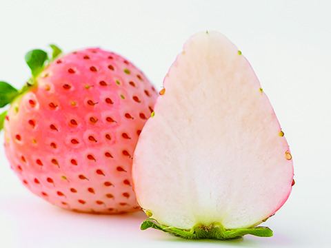 上品な甘さ！長野県産『雪桜』280g×２p