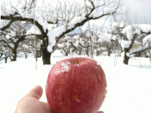 *雪ん子*全玉蜜入り◆訳あり◆完熟ふじりんご約4kg＆りんごジュース1本
