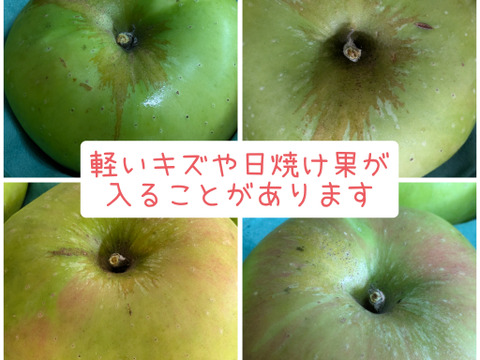 クッキングアップル　ブラムリー約2.3㎏