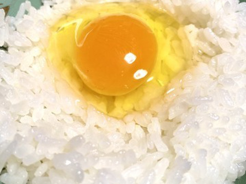 20個 国産とうもろこし100%給餌◆コクと旨味が際立つ純国産鶏 京都美山 平飼いたまご「唯 yui」10玉入り2パック