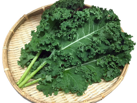 野菜ソムリエ推奨！免疫力を高めるスムージーにおすすめの野菜詰め合わせセット【鮮度抜群！サラダでも食べられる8品目】