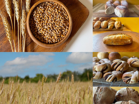 【希少種】挽立て全粒粉◎バラエティパン詰め合わせ◎小麦農家民宿の朝食パンセット