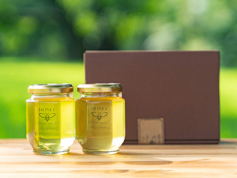 希少！宮崎産非加熱はちみつ2種（160gx2）