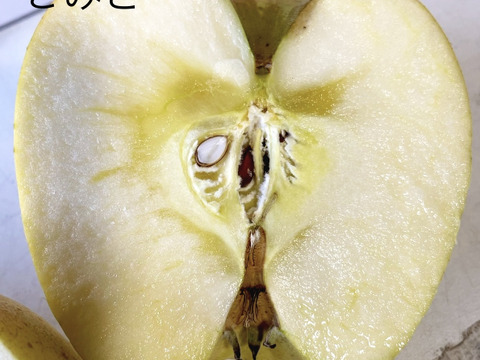 りんご いろいろBOX （2㎏）