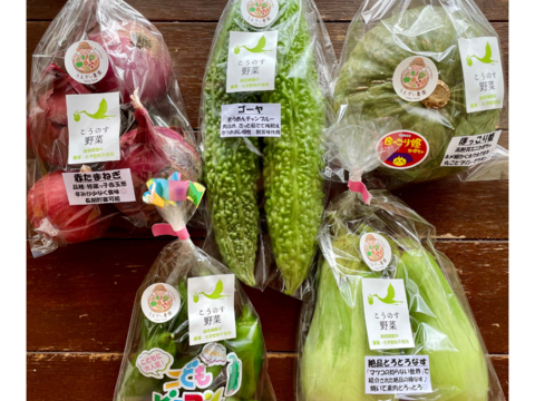 【母の日】濃甘！野菜セット3種類×2倍量 農薬・化学肥料不使用♪個包装【母の日ギフト】