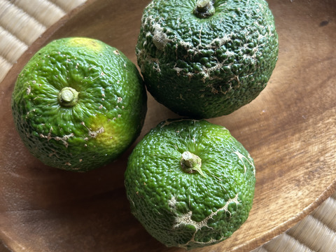 訳あり！ 豊田市旭産 『青柚子』4kg 加工用