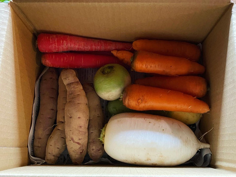 ２月のお野菜ボックス