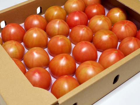 「うみとまと」米村農園からお届け【おすすめの食べ方付き】