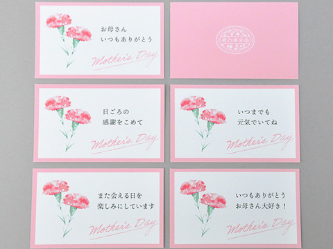 【母の日ギフト】《完全無添加》柿の甘み凝縮！とろーり♪あんぽ柿10個入りギフト【選べるメッセージ付き】