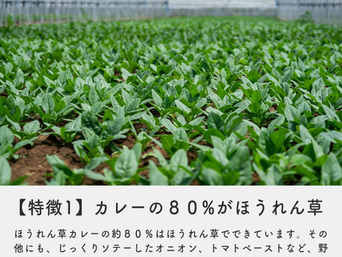 【予約販売：11月中旬】野辺山ほうれん草カレーペースト3個セット