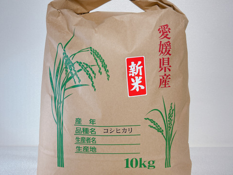 売れ筋・人気アイテム 商品 令和6年度産】新米 コシヒカリ 10㎏ ＊特別栽培米＊：愛媛県 米・雑穀・粉類