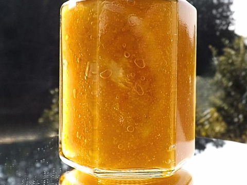 【セール50％OFF】まるごと★ゆずジャム　/　柚子　/　てんさい糖　/　甘さ穏やか　/　添加物不使用　/　12個まで60サイズOK　/